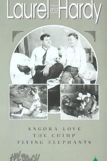 Angora Love