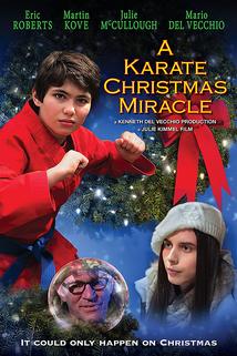 Profilový obrázek - Karate Christmas Miracle, A