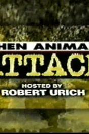 Profilový obrázek - When Animals Attack!