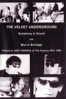 Profilový obrázek - The Velvet Underground and Nico