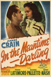 In the Meantime, Darling  - In the Meantime, Darling