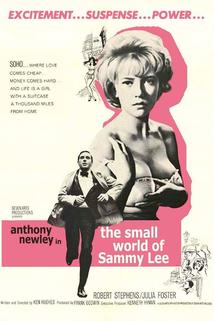 Profilový obrázek - The Small World of Sammy Lee