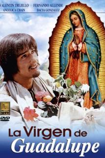 Profilový obrázek - Virgen de Guadalupe, La