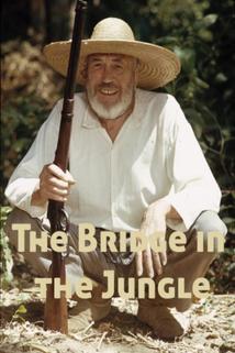 Profilový obrázek - The Bridge in the Jungle