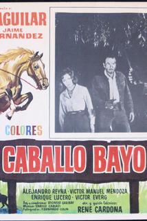 Profilový obrázek - Caballo Bayo, El