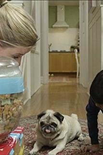 Profilový obrázek - Trek Rex/Dino Climbers