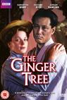 The Ginger Tree (1989)