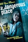 Dangerous Place, A (2012)