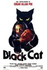 Černá kočka (1981)