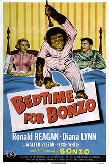 Profilový obrázek - Bedtime for Bonzo