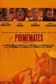 Profilový obrázek - PrimeMates