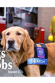 Profilový obrázek - Dogs with Jobs