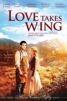 Na křídlech lásky  - Love Takes Wing