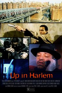 Profilový obrázek - Up in Harlem