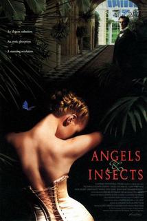 Profilový obrázek - Andělé a hmyz