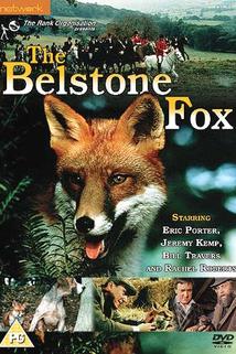 Profilový obrázek - Belstoneská liška