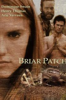 Profilový obrázek - Briar Patch