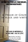 A Dream of Color in Black and White 