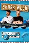 MythBusters: Jaws Special 