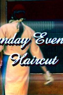 Profilový obrázek - Sunday Evening Haircut