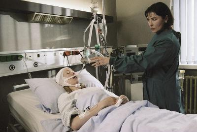 Julie - cesta ke štěstí