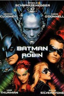 Profilový obrázek - Batman a Robin
