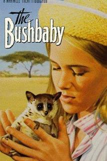 Profilový obrázek - The Bushbaby