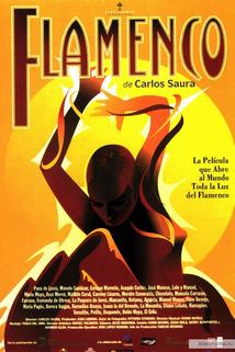 Profilový obrázek - Flamenco