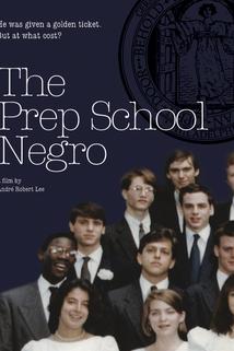 Profilový obrázek - The Prep School Negro (with André Robert Lee & Judith Ohikuare)