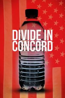 Profilový obrázek - Divide in Concord