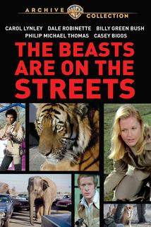 Profilový obrázek - The Beasts Are on the Streets