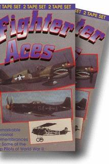 Profilový obrázek - Fighter Aces