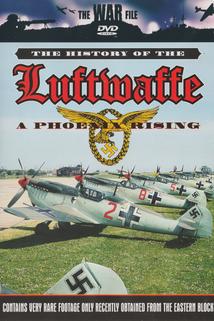 Profilový obrázek - The History of the Luftwaffe