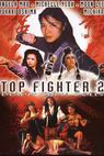 Top Fighter 2 
