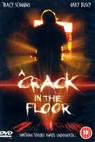 Crack in the Floor, A 
