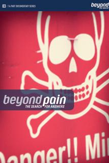 Profilový obrázek - Beyond Pain the Search for Answers