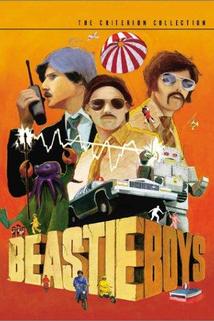 Profilový obrázek - Beastie Boys: Video Anthology