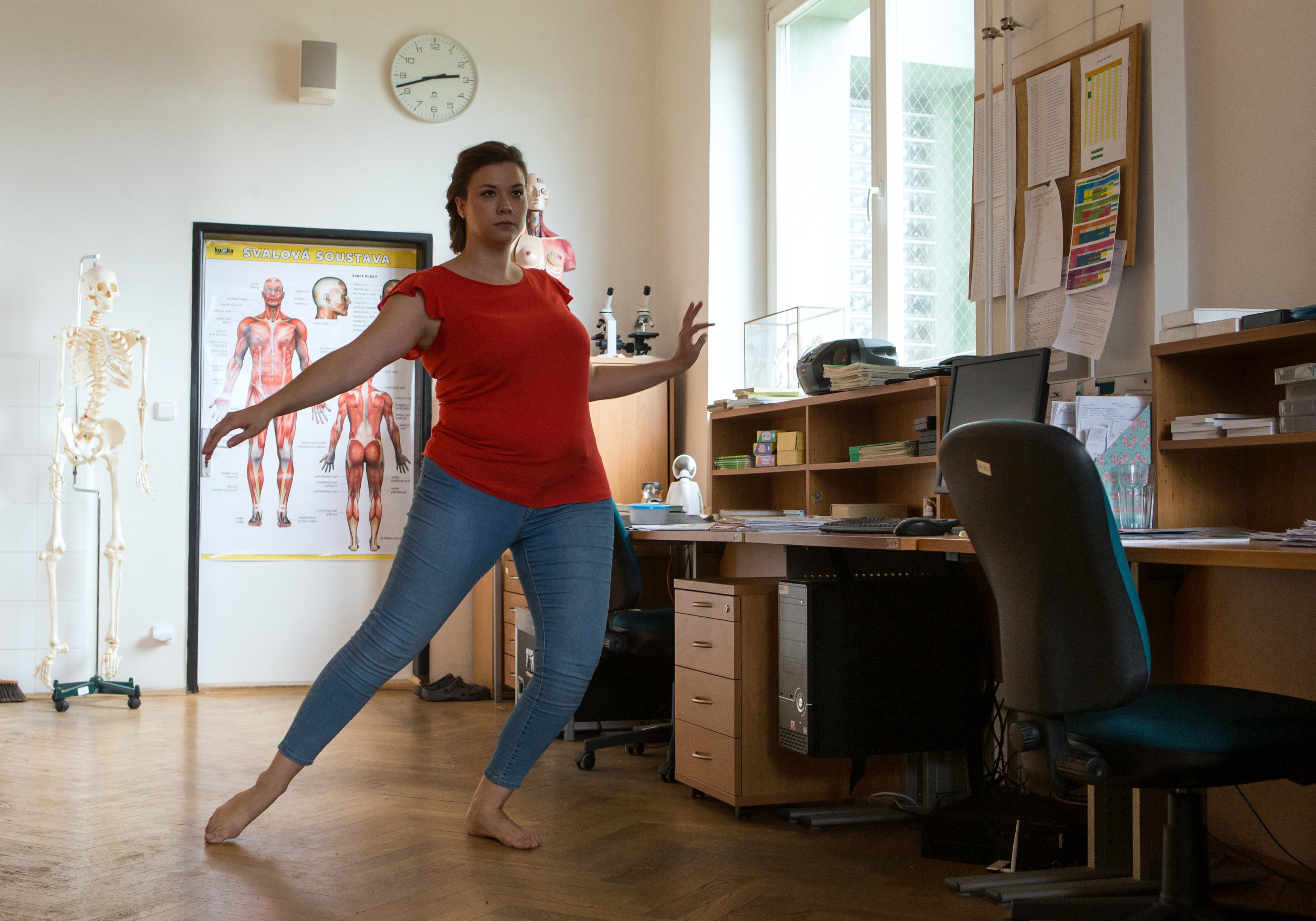 Až budou krávy lítat