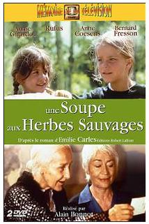 Polévka z divokých bylin  - Une soupe aux herbes sauvages