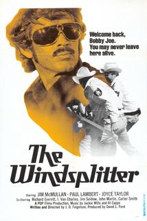 Profilový obrázek - The Windsplitter