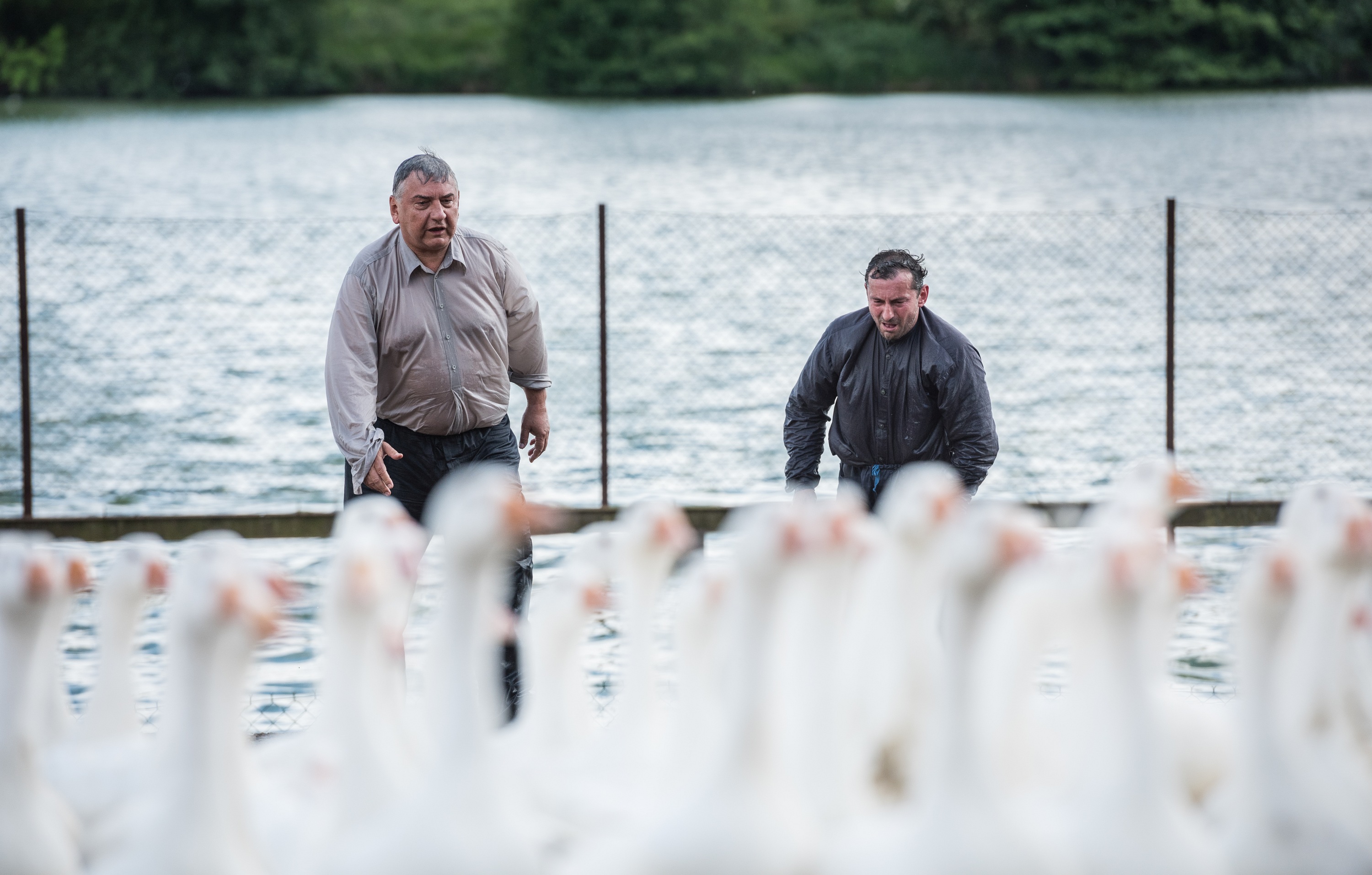 Můj strýček Archimedes
