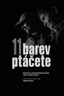 Profilový obrázek - 11 barev ptáčete