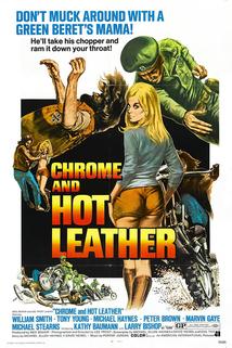 Profilový obrázek - Chrome and Hot Leather