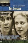 The Seagull 