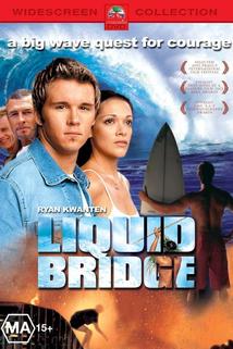 Profilový obrázek - Liquid Bridge