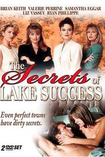 Profilový obrázek - The Secrets of Lake Success
