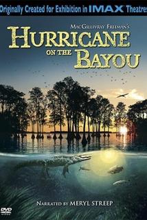 Profilový obrázek - Hurricane on the Bayou