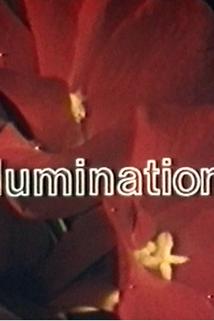 Profilový obrázek - Illuminations