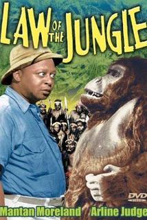 Profilový obrázek - Law of the Jungle