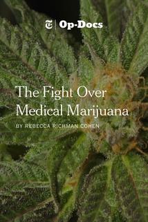 Profilový obrázek - The Fight Over Medical Marijuana